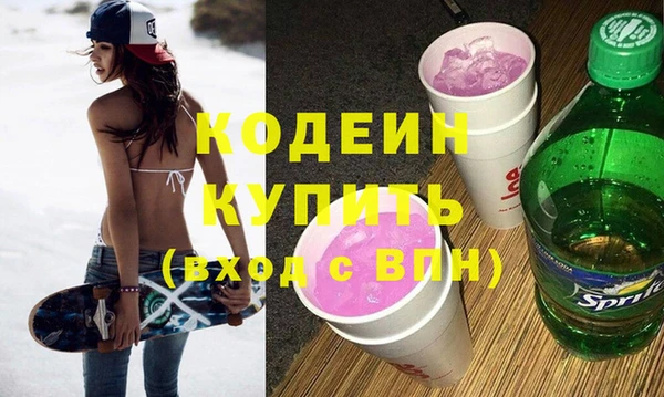 дживик Ельня