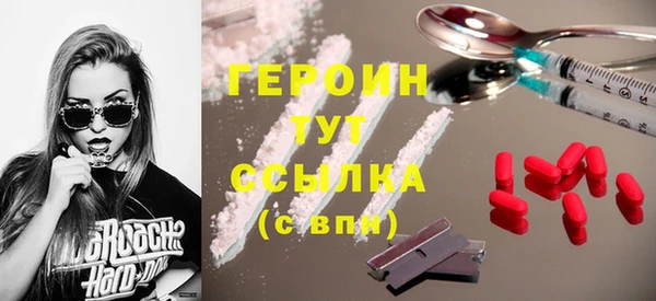 дживик Ельня