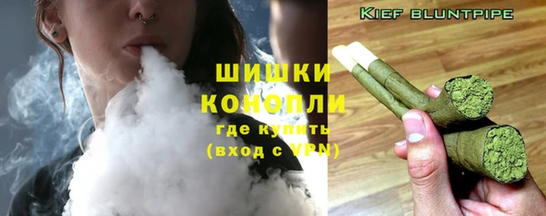 дживик Ельня