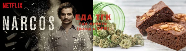 дживик Ельня