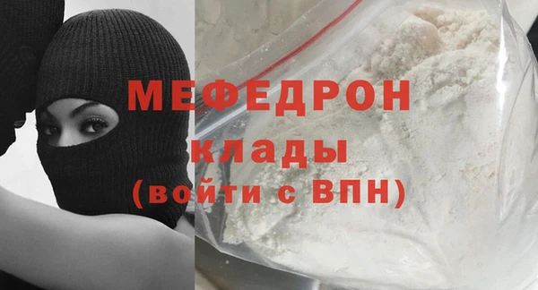 дживик Ельня