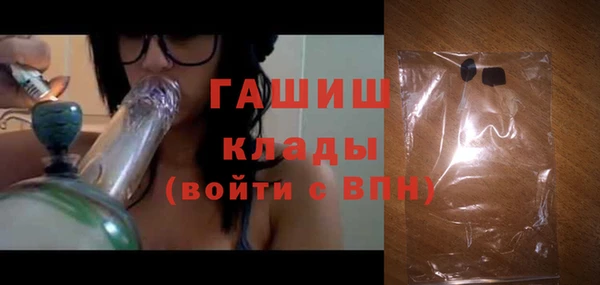 дживик Ельня