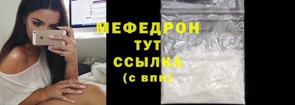 дживик Ельня