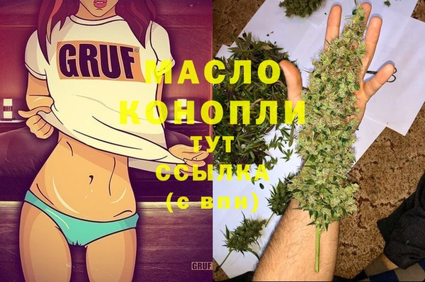 дживик Ельня