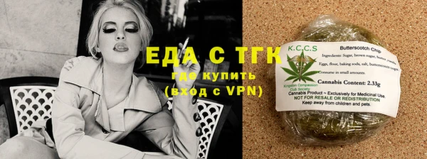 дживик Ельня