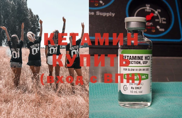 дживик Ельня
