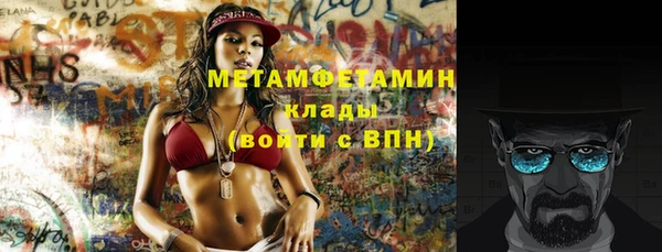 дживик Ельня