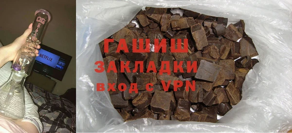 дживик Ельня
