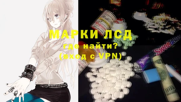 дживик Ельня