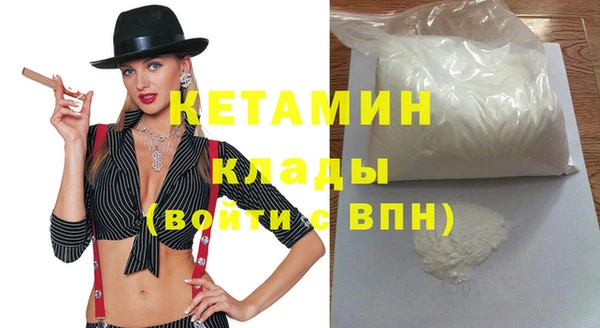 дживик Ельня