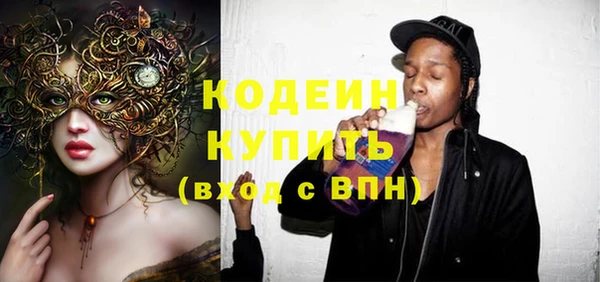 дживик Ельня