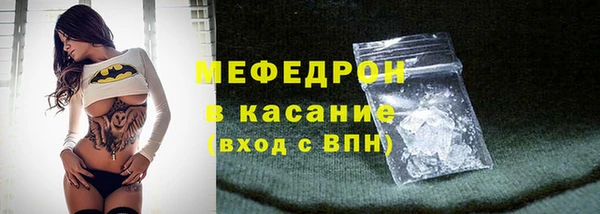 дживик Ельня